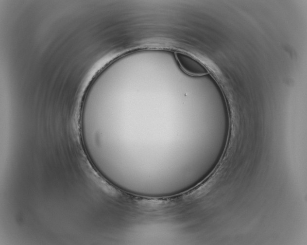 X0000115111248200911101559