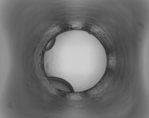 X0000115111249200911101558