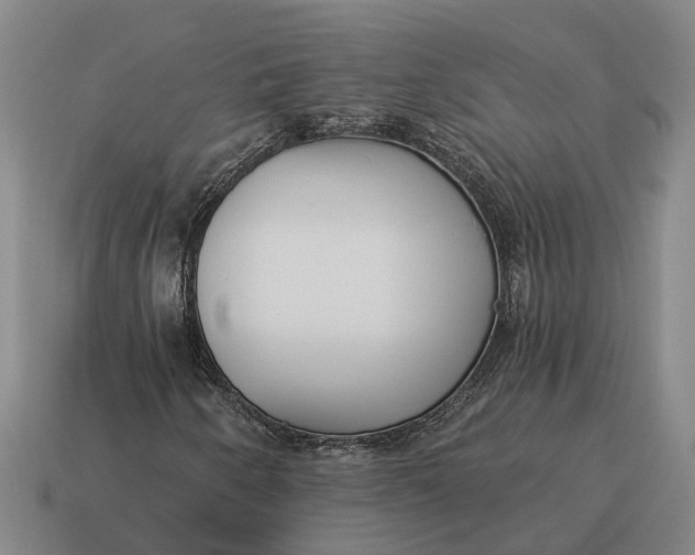 X0000115111250200911101558