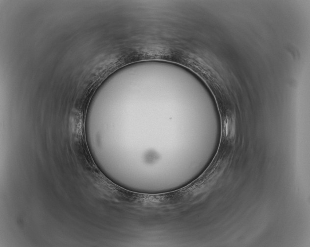 X0000115111251200911101558