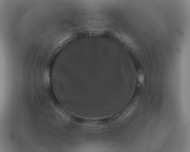 X0000115111252200911101558