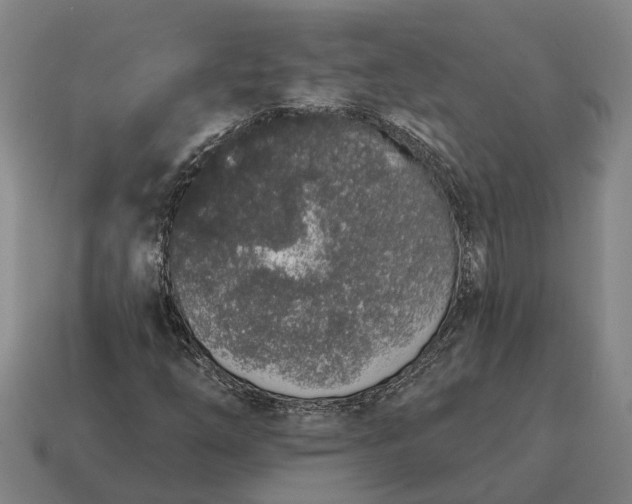 X0000115111254200911101558