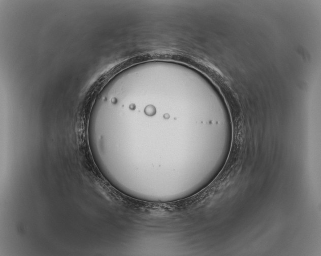 X0000115111255200911101558