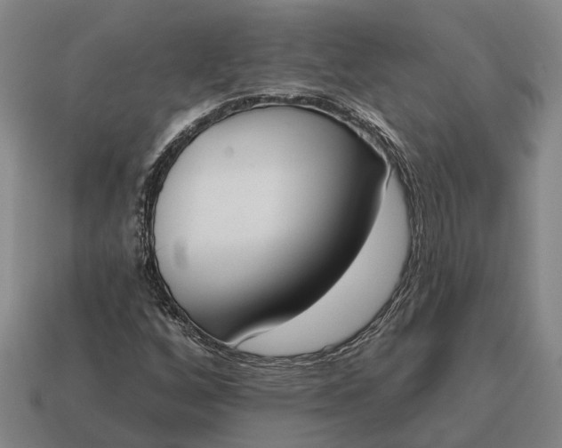 X0000115111256200911101558