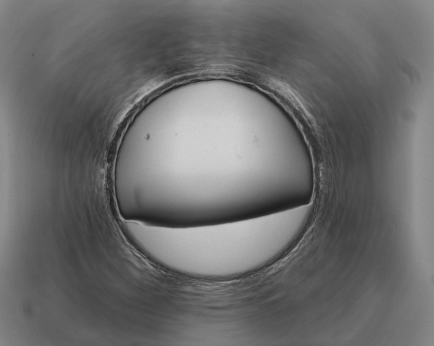 X0000115111260200911101558