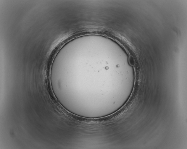 X0000115111261200911101558