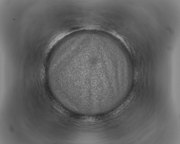 X0000115111263200911101558