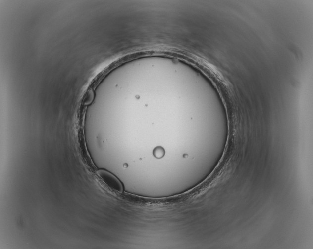 X0000115111264200911101558