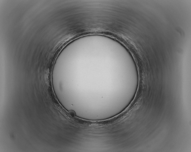 X0000115111265200911101558