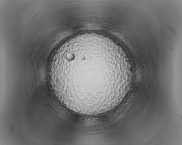 X0000115111266200911101558