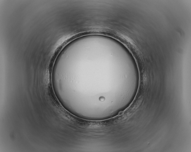 X0000115111267200911101558