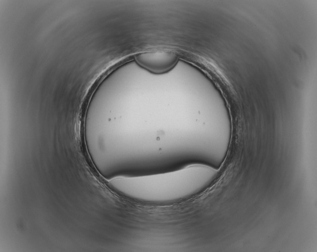 X0000115111268200911101558