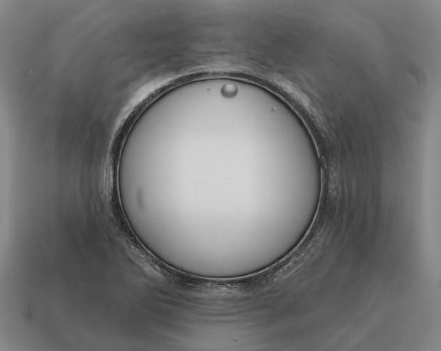 X0000115111270200911101558
