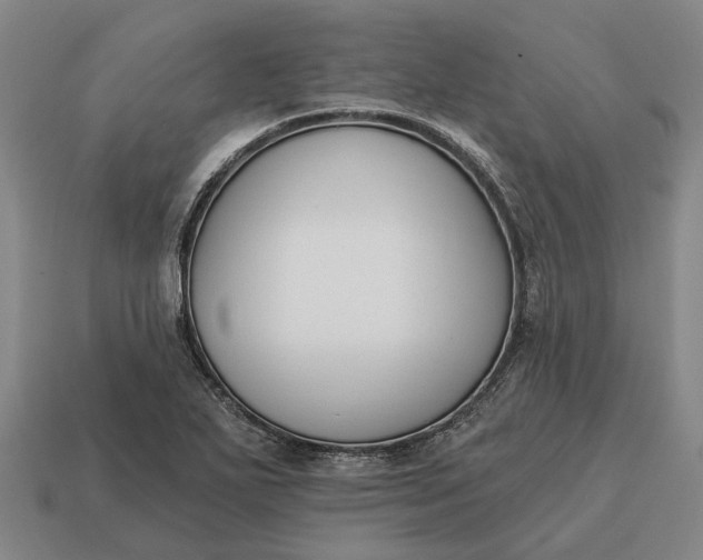 X0000115111271200911101558