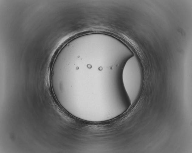 X0000115111272200911101558