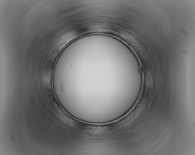 X0000115111273200911101558