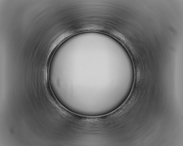 X0000115111274200911101558