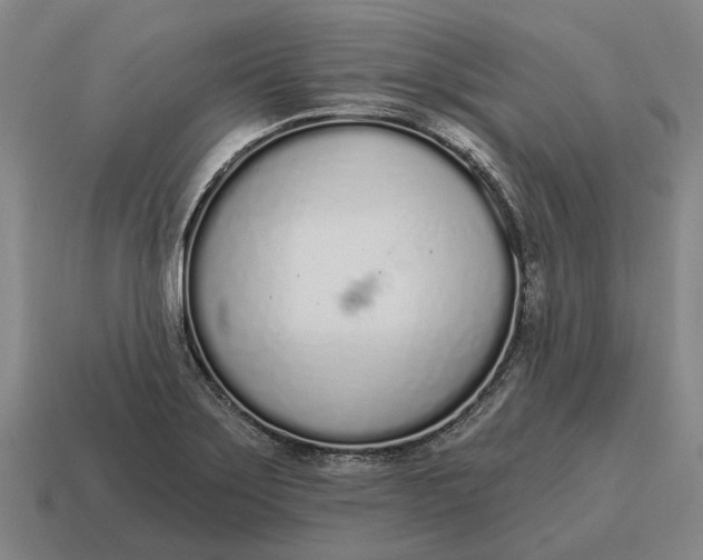 X0000115111275200911101558