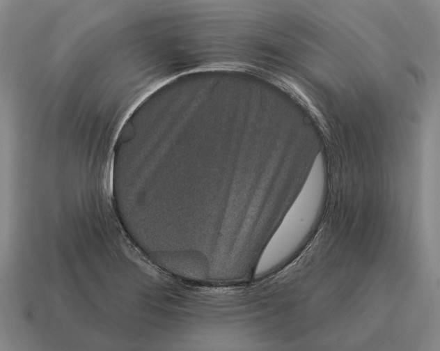 X0000115111276200911101558