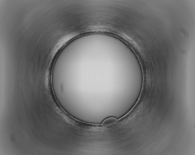 X0000115111277200911101558