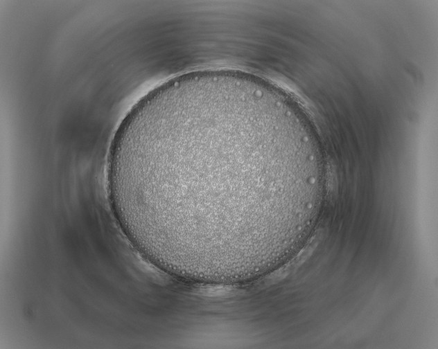 X0000115111278200911101558