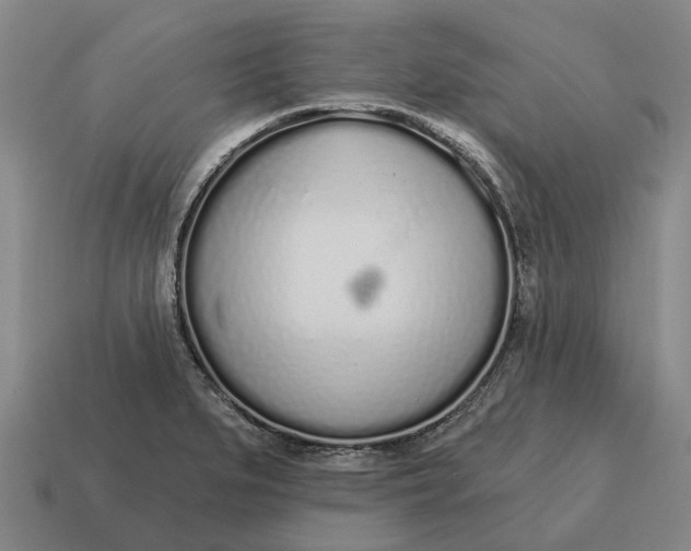 X0000115111279200911101558