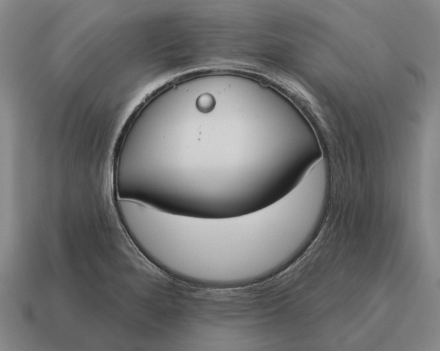 X0000115111280200911101558