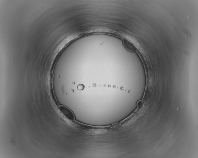 X0000115111282200911101557