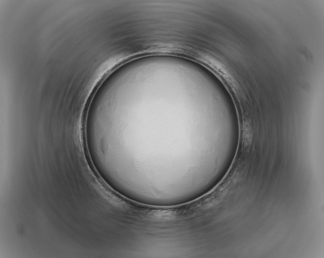 X0000115111283200911101557