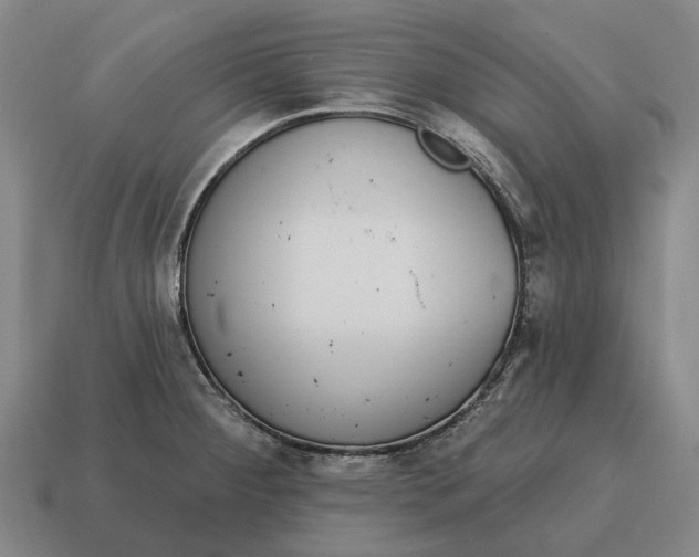 X0000115111284200911101557