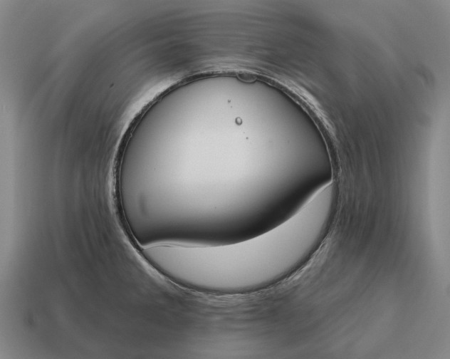 X0000115111285200911101557