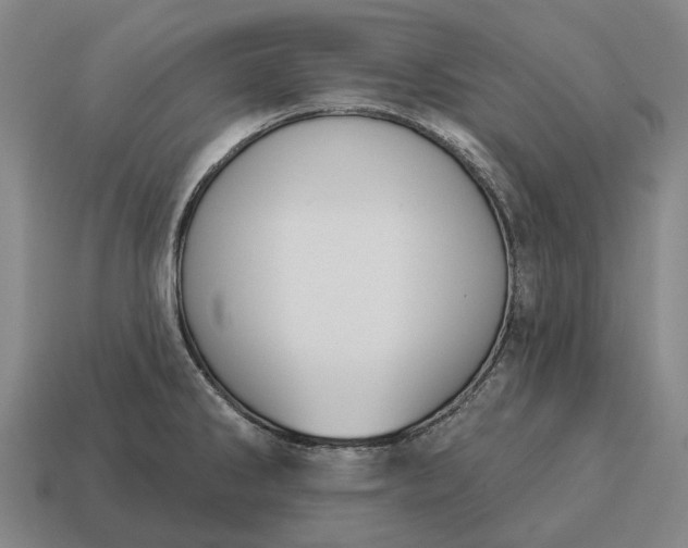 X0000115111286200911101557