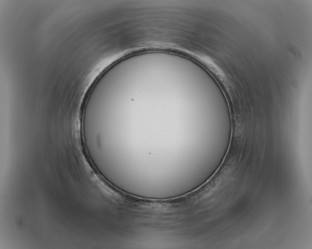 X0000115111287200911101557
