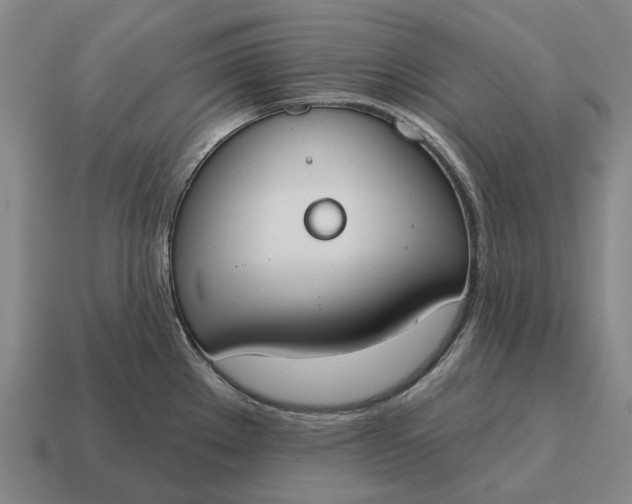 X0000115111289200911101557