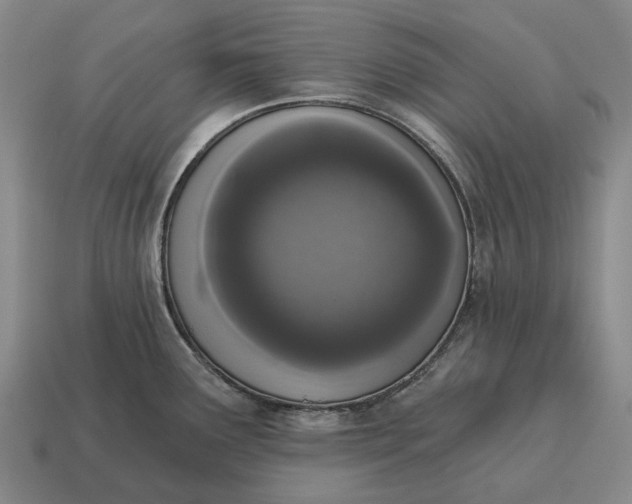 X0000115111291200911101557