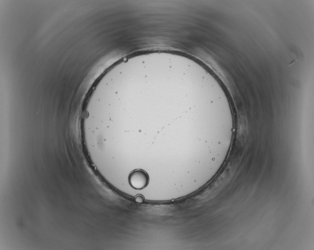 X0000115111293200911101557