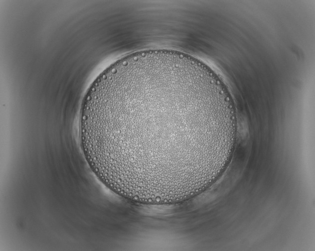 X0000115111294200911101557