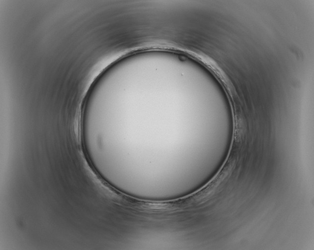 X0000115111295200911101557