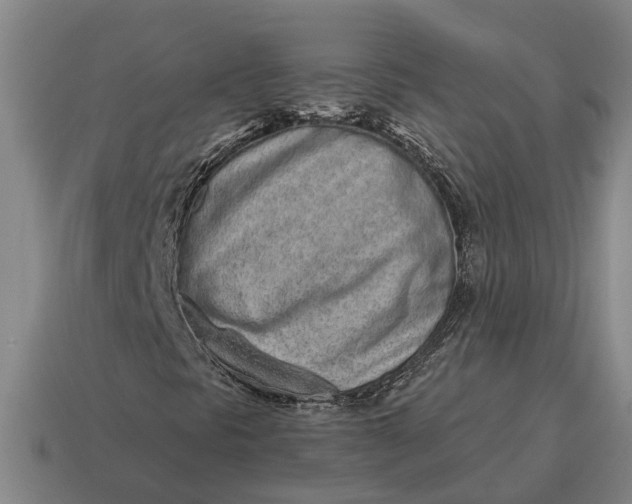 X0000115111297200911101557