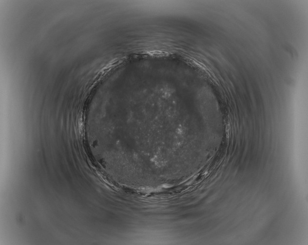 X0000115111298200911101557