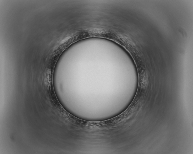 X0000115111301200911101557