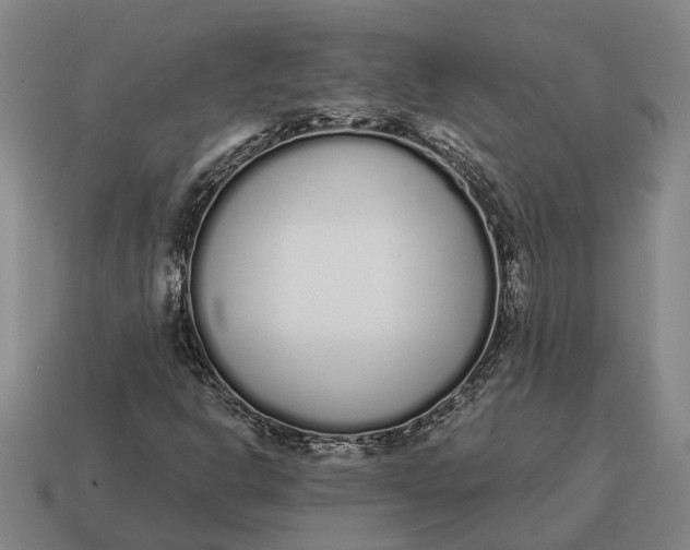 X0000115111302200911101557