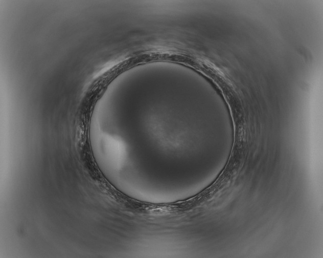 X0000115111303200911101557