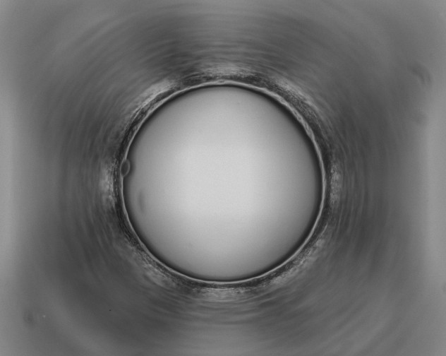 X0000115111305200911101557