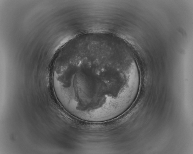 X0000115111306200911101557