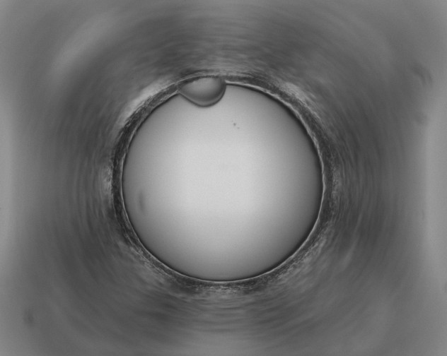 X0000115111307200911101557