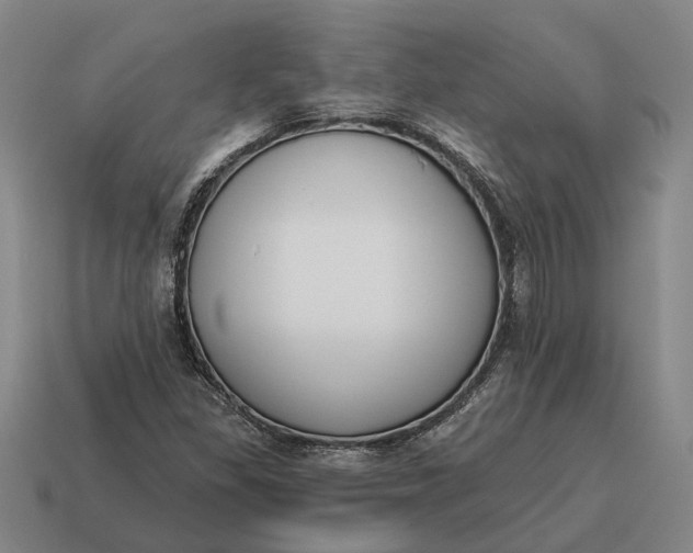 X0000115111309200911101557