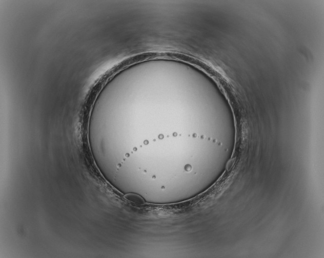 X0000115111311200911101557