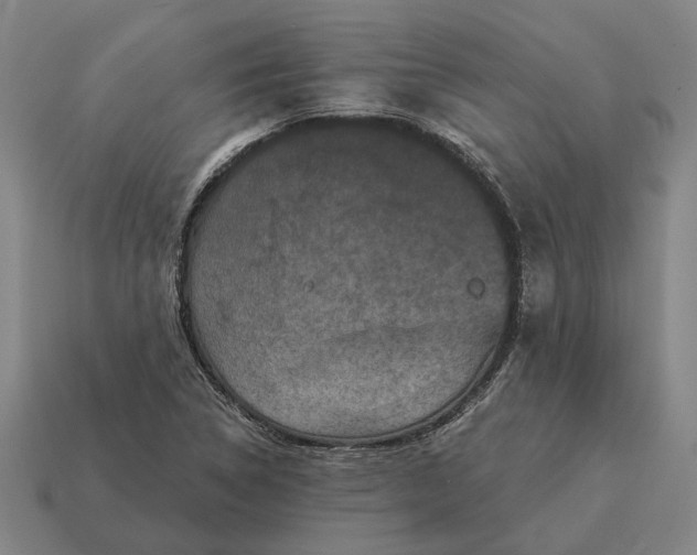 X0000115111314200911101557