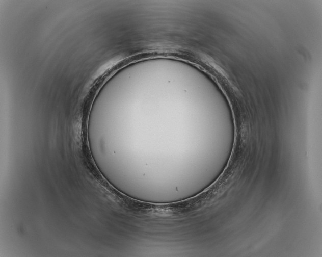 X0000115111315200911101557